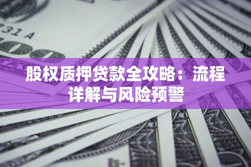 武汉股权质押贷款全攻略：流程详解与风险预警