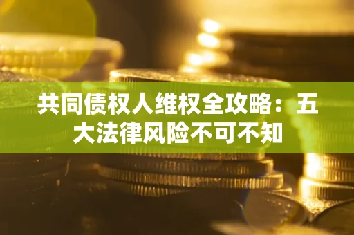 武汉共同债权人维权全攻略：五大法律风险不可不知