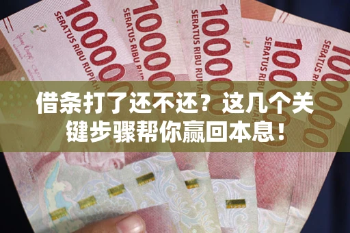 武汉借条打了还不还？这几个关键步骤帮你赢回本息！