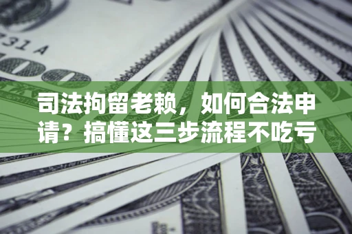 武汉司法拘留老赖，如何合法申请？搞懂这三步流程不吃亏！