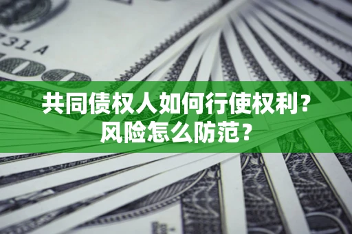 武汉共同债权人如何行使权利？风险怎么防范？