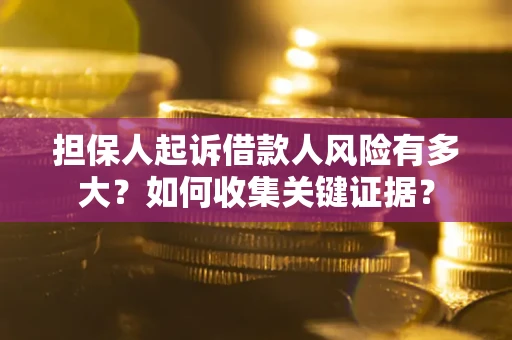 武汉担保人起诉借款人风险有多大？如何收集关键证据？