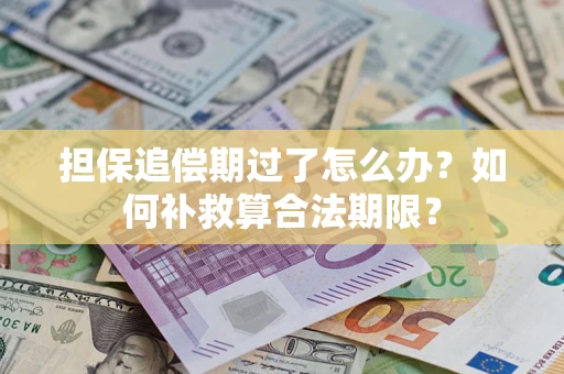 武汉担保追偿期过了怎么办？如何补救算合法期限？