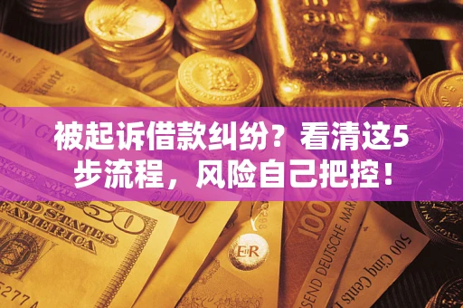 武汉被起诉借款纠纷？看清这5步流程，风险自己把控！